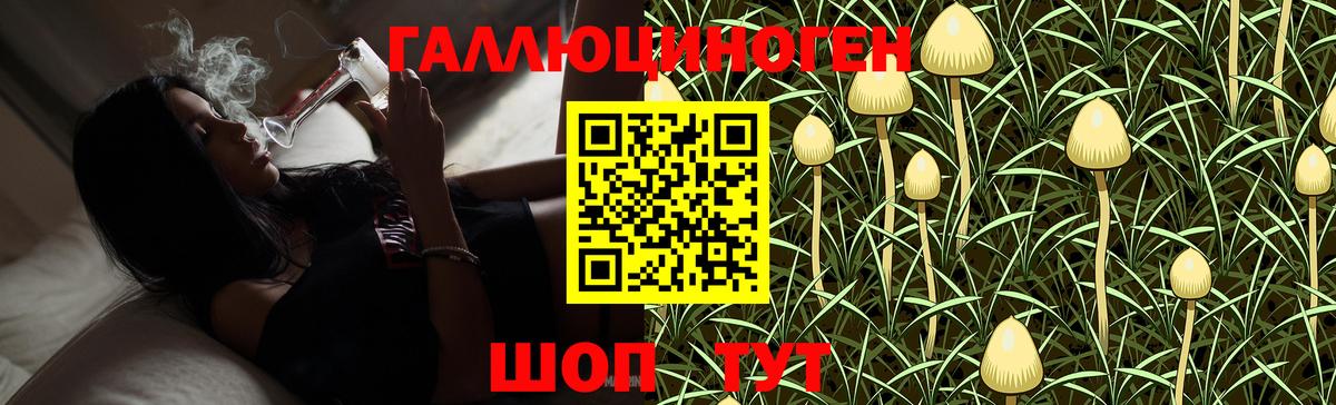 Псилоцибиновые грибы Magic Shrooms  Вход с VPN  Ефремов 