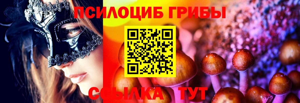 Псилоцибиновые грибы Cubensis Ефремов